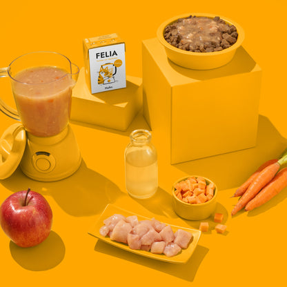 FRED Smoothie Huhn