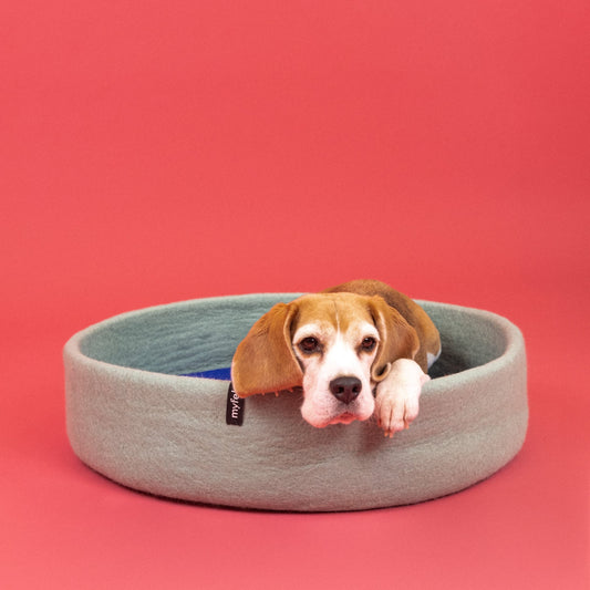 Fine Hundekorb Hundebett aus Filz 60 cm mit Inlay in Royalblau
