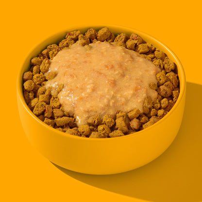 FRED Smoothie Huhn mit Kurkuma