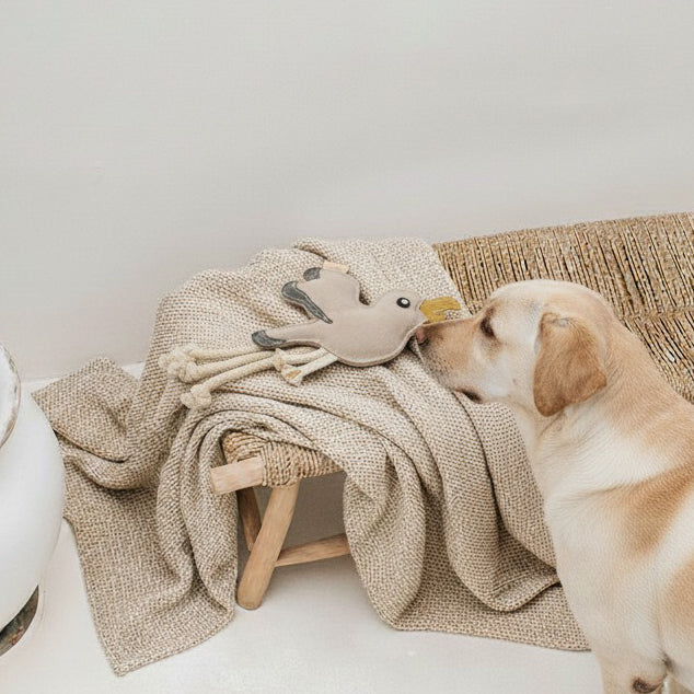 BUDDY. Hundespielzeug aus Leder "Möwe"