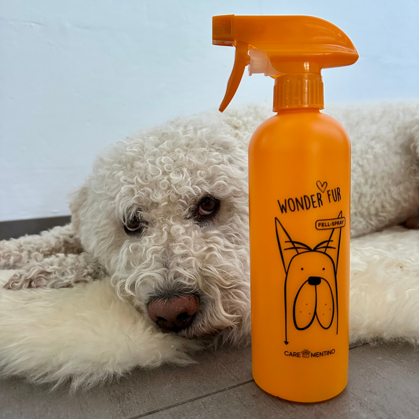 Wonder Fur – Fellspray Starter-Set