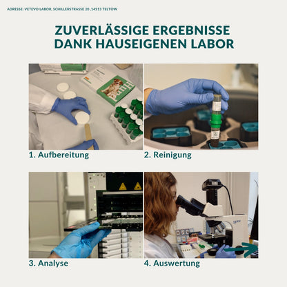 Giardientest Hund