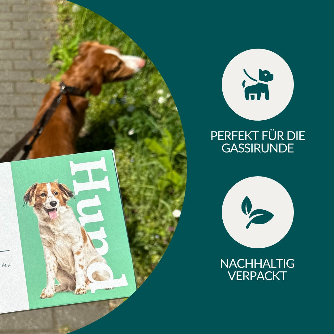 Giardientest Hund