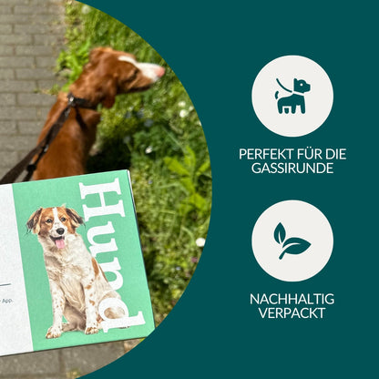 Giardientest Hund