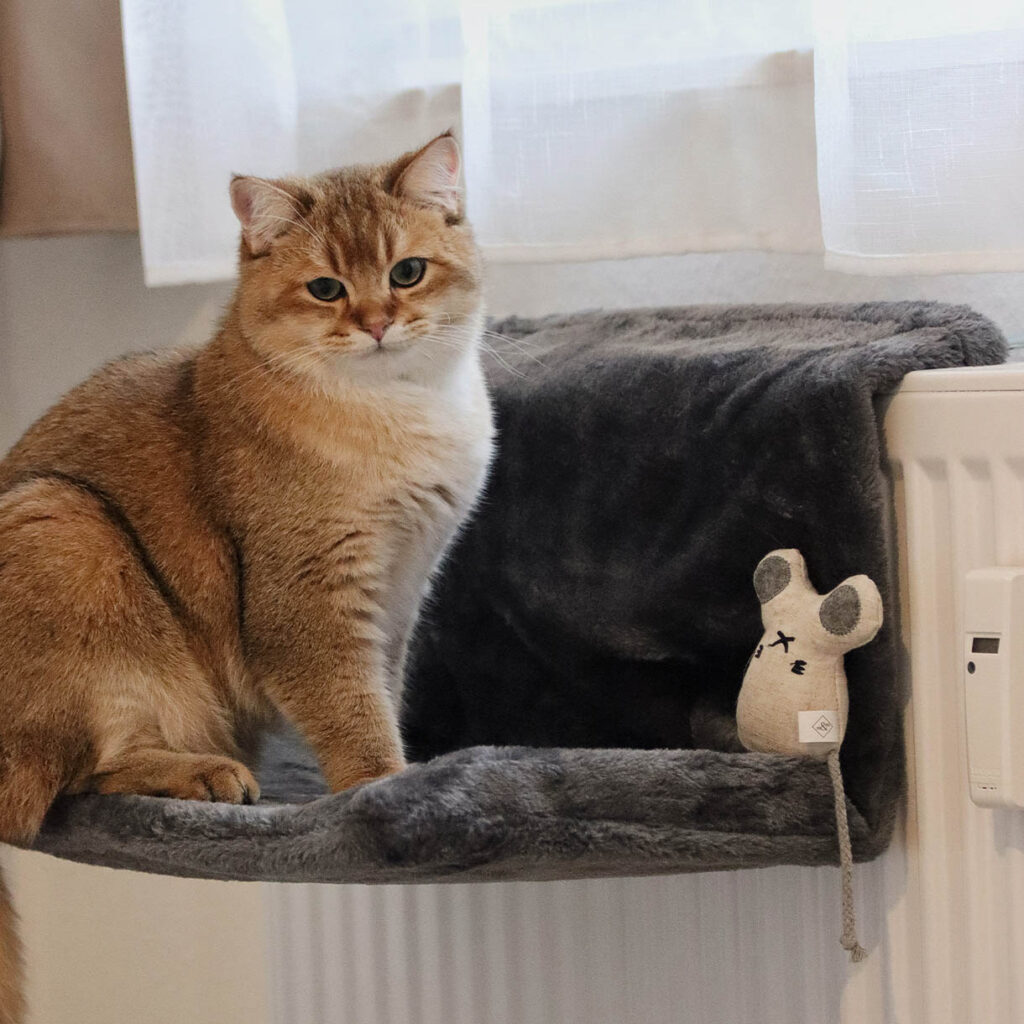 Kuschelige Heizkörperliege für Katzen
