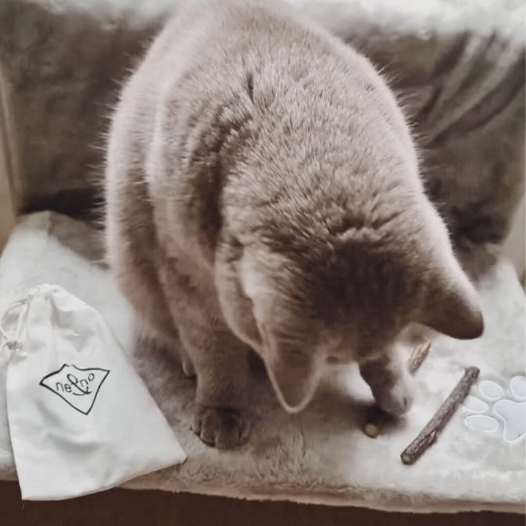 Kuschelige Heizkörperliege für Katzen