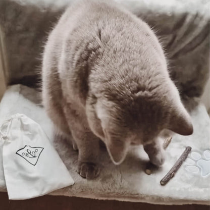 Kuschelige Heizkörperliege für Katzen