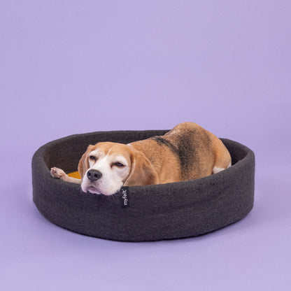 Kuno Hundekorb Hundebett schwarz aus Filz 60 cm Inlay Ockergelb