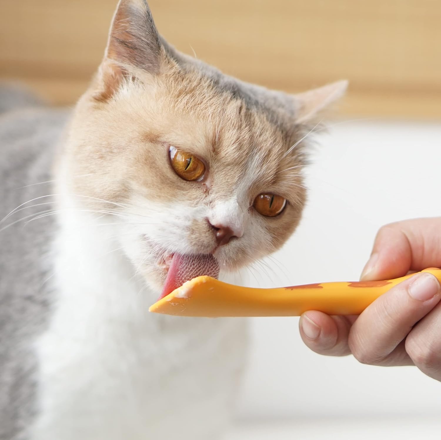 Das Bild zeigt eine Katze, die Futter oder Leckerlies direkt vom Löffel ableckt. Der Löffel ist lebensmittelecht und für Katzen unbedenklich.