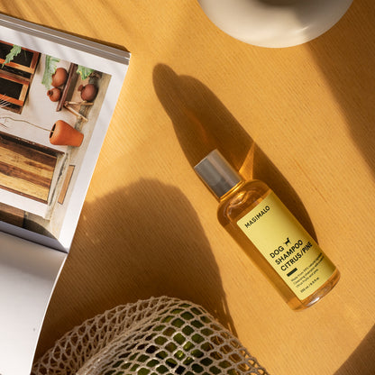 Masimalo Hundeshampoo Citrus Pine Lifestyle Foto
