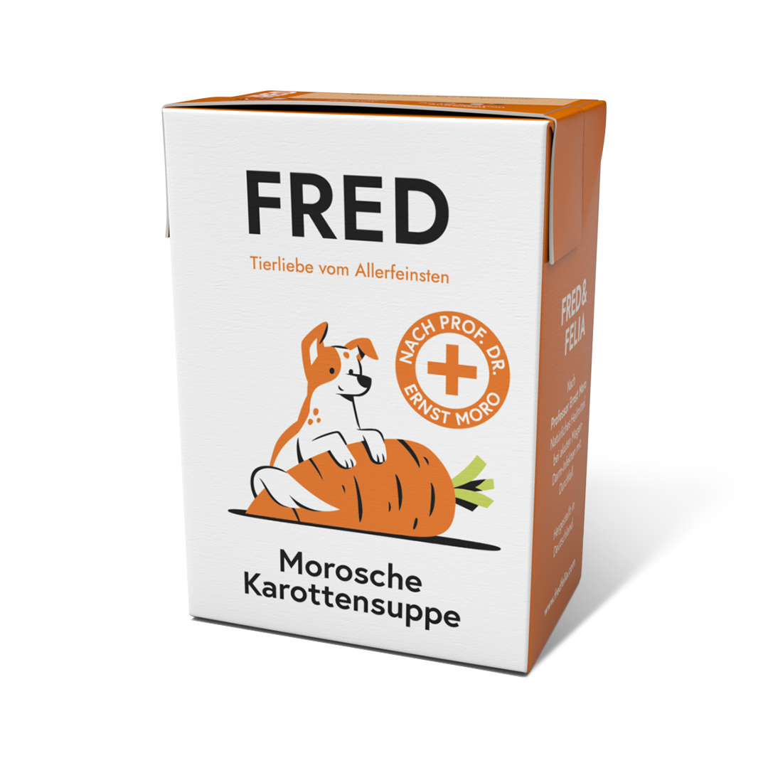 FRED Morosche Karottensuppe