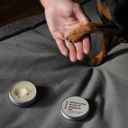 Nasen und Pfoten Balsam Anwendungsbeispiel