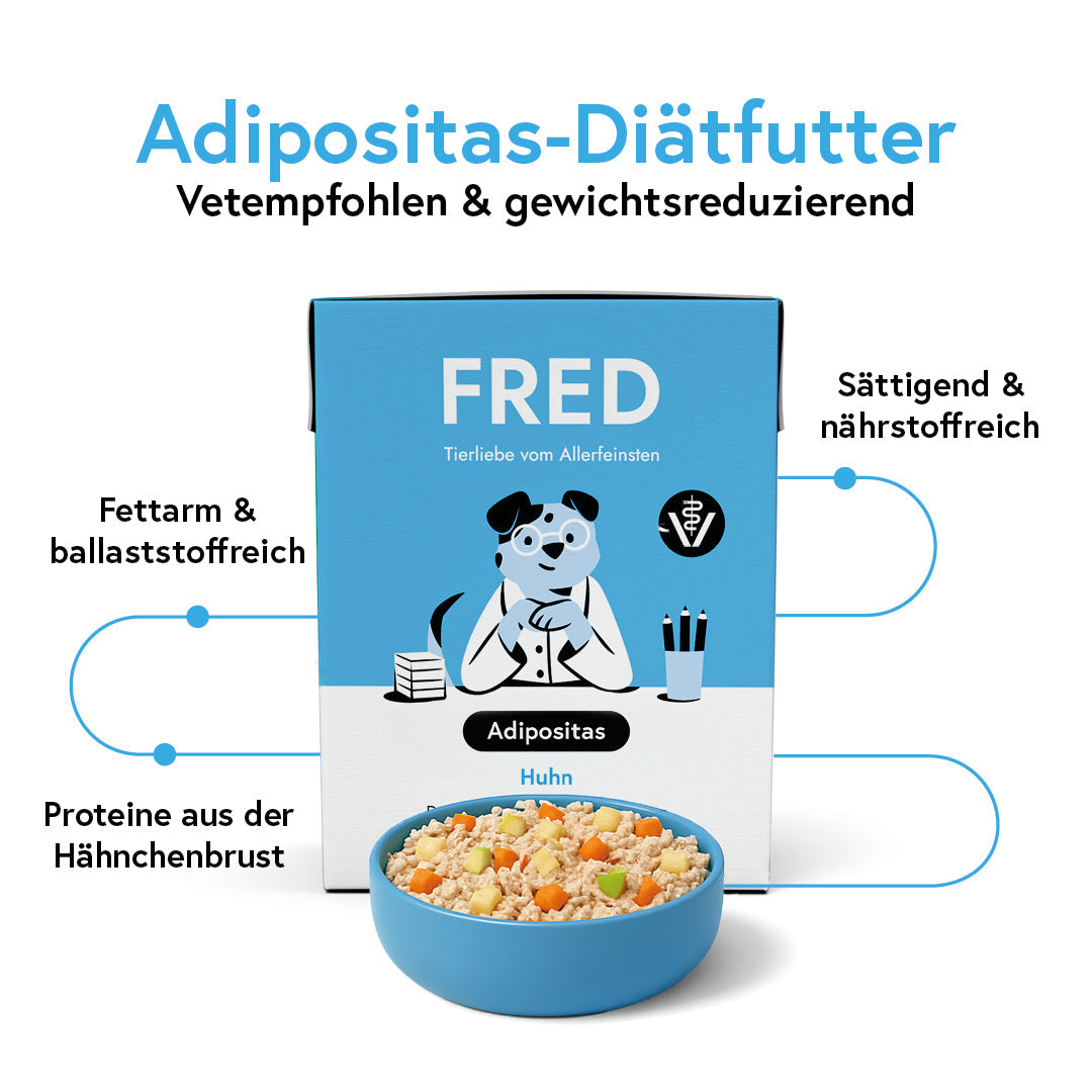 FRED VET Adipositas