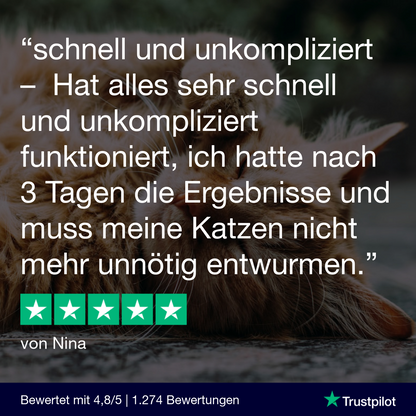 Lungenwurmtest Katze
