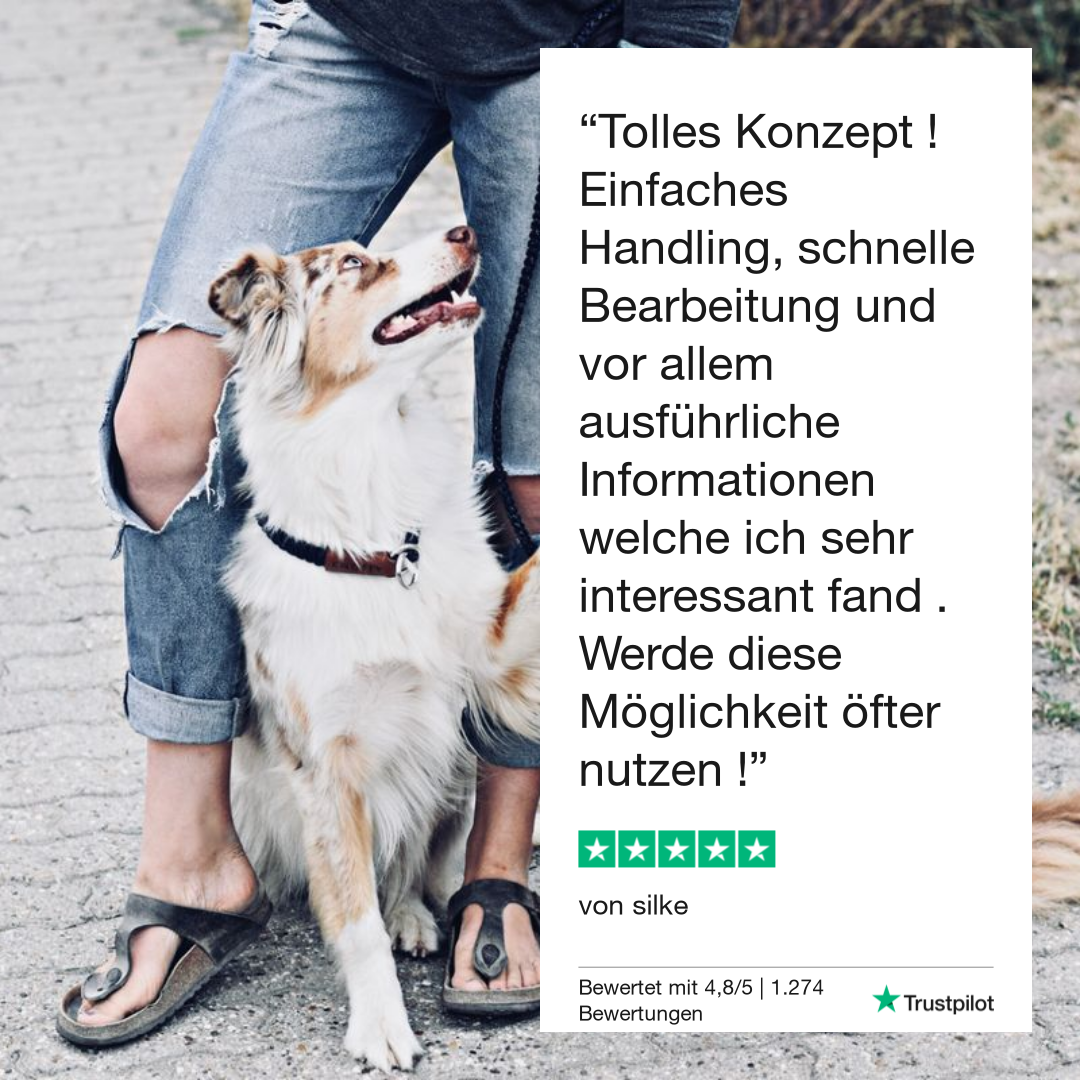 Giardientest Hund