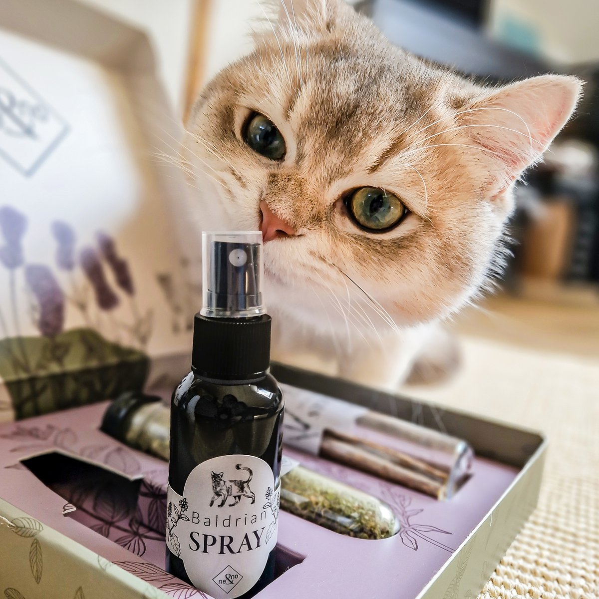 Geschenkset Katzen-Wohlfühlkräuter: Katzenminze + Baldrian Spray + Matatabi Sticks