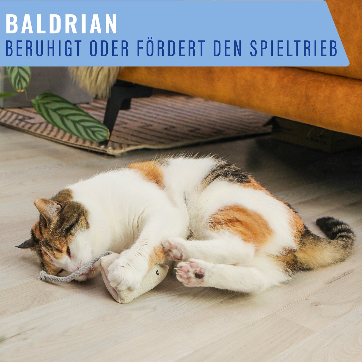 SET BALDRIAN – Nachfüllbeutel für das ne&no Katzenspielzeug (18 Stück)