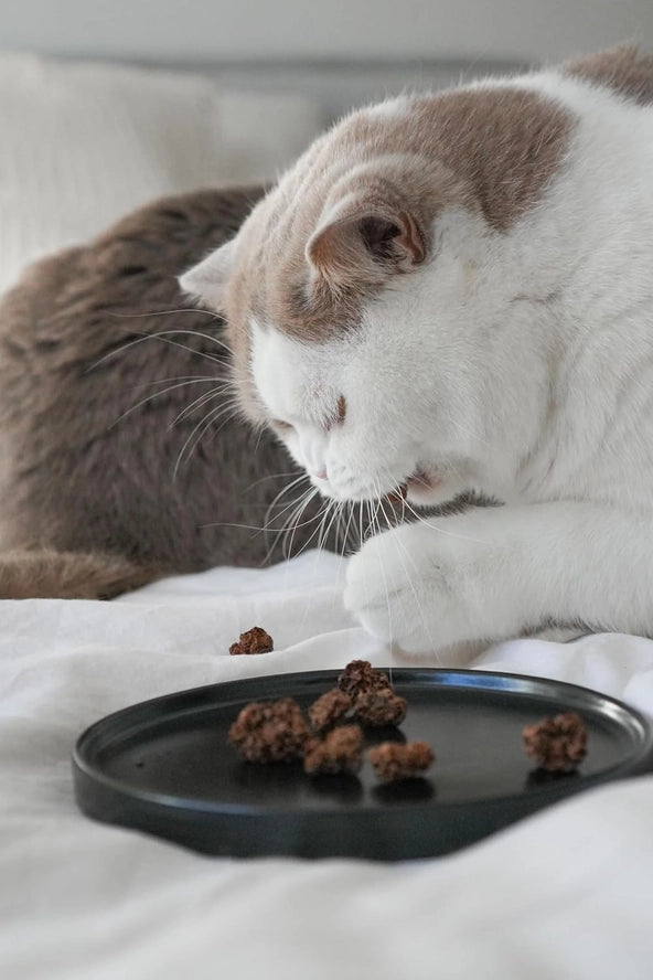 Matatabi-Früchte (30 g)