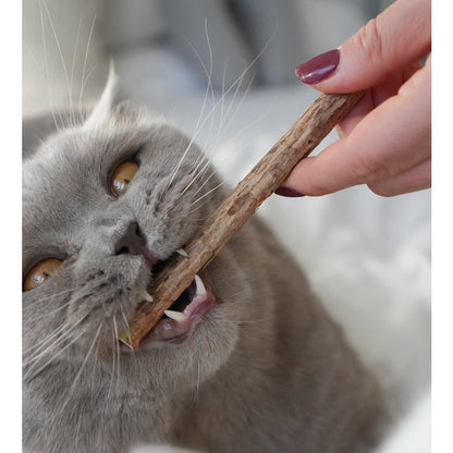 Matatabi-Sticks (5 Stück)