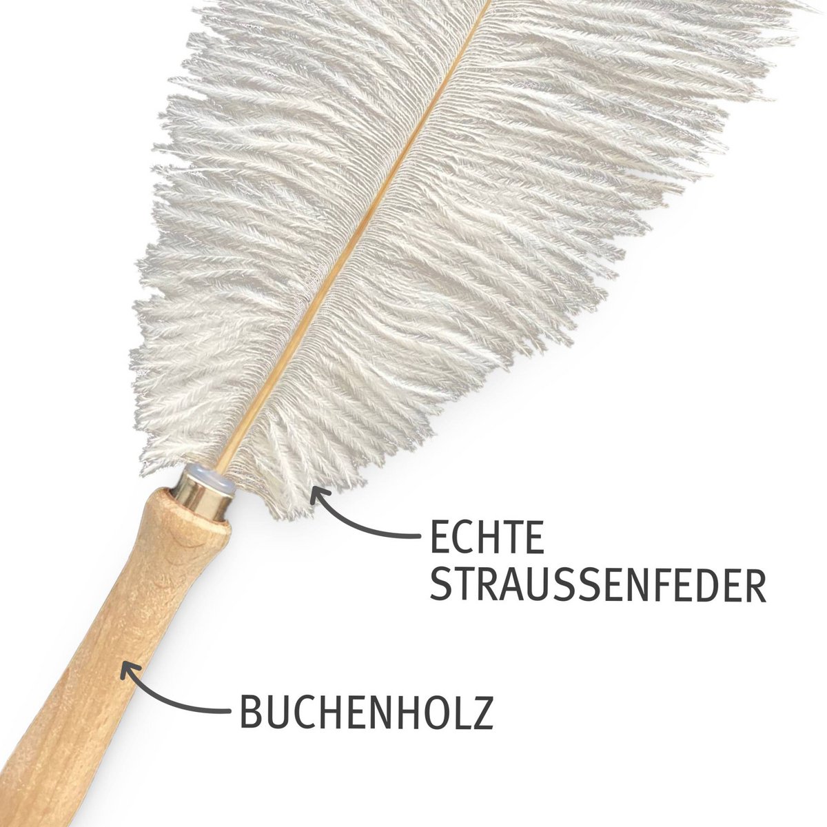 Federwedel mit echter Straußenfeder