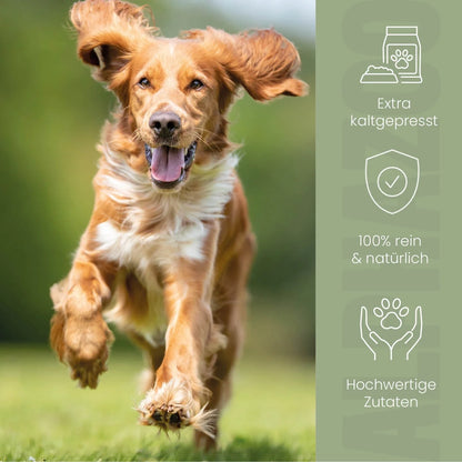 Hanföl für Hunde