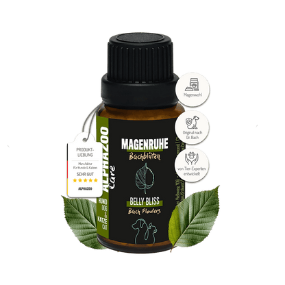 Magenruhe Bachblüten