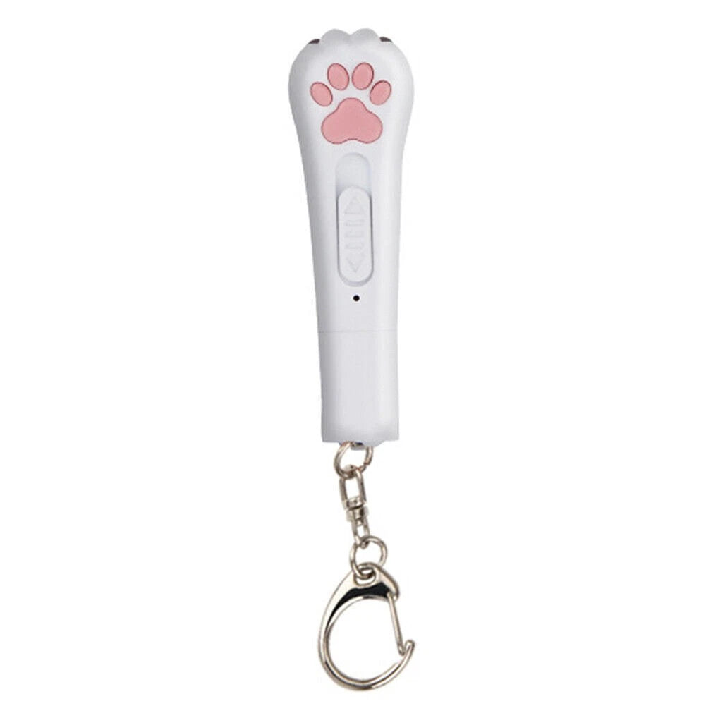 5-in-1 Laserpointer "Pfote"