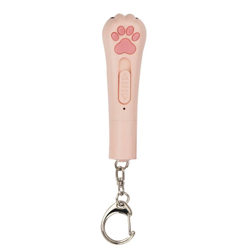 5-in-1 Laserpointer "Pfote"