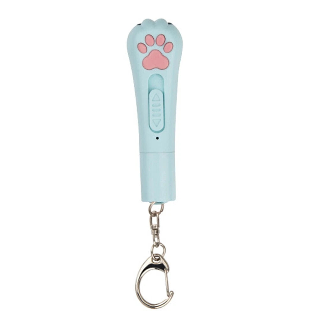 5-in-1 Laserpointer "Pfote"